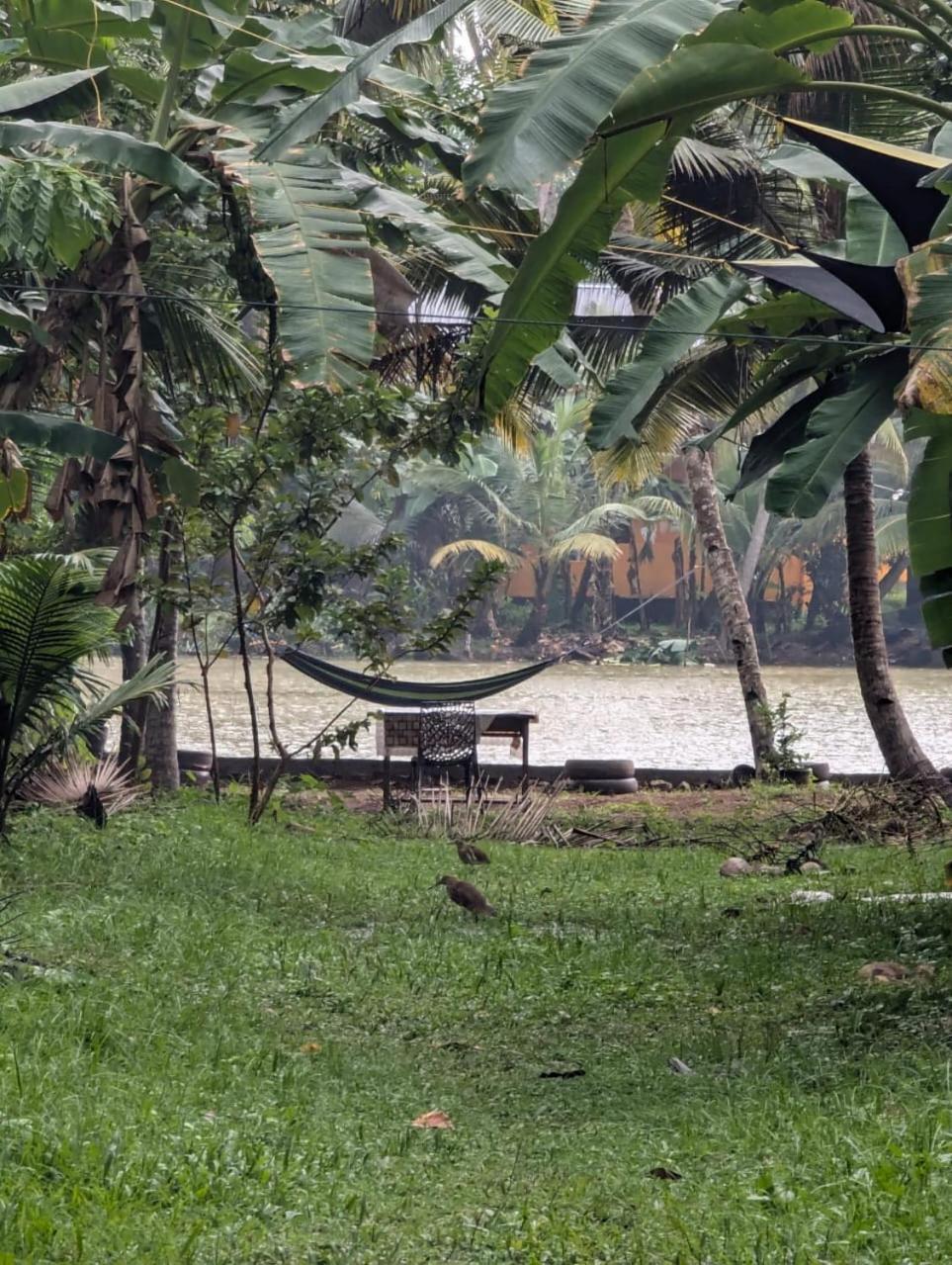 Islandstay-A Riverside Property Kollam Exteriér fotografie